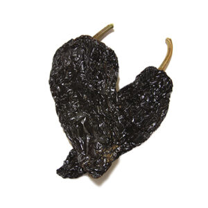 Mulato Chile