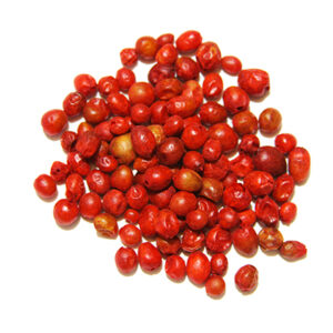 Chiltepin
