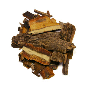 Sacred Bark