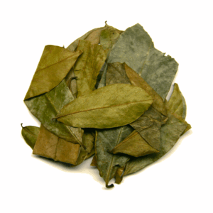 Soursop Leaves