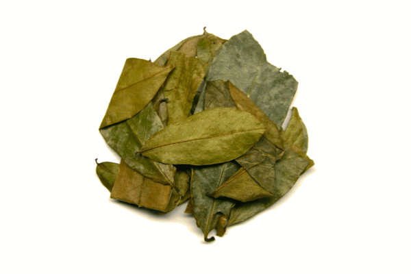 Soursop Leaves