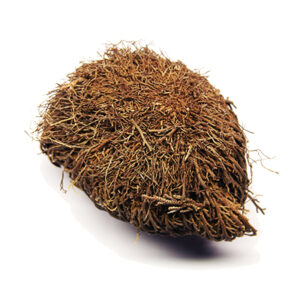 Doradilla