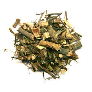 Fennel