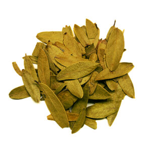 Hoja de Pinguica