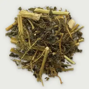 Epazote de Zorrillo