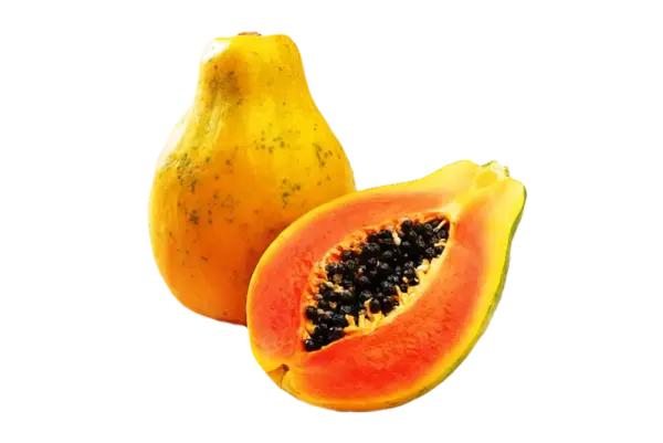 Papaya