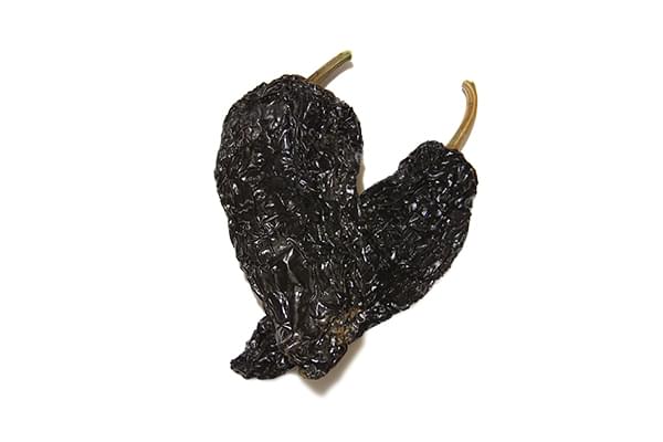 Mulato Chile