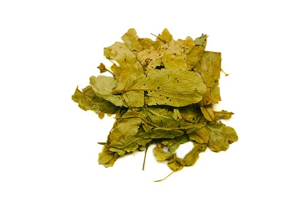 Lime Leaves
